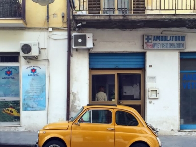 There's No Such Thing as a Fleet That's Too Small for Breakdown Cover